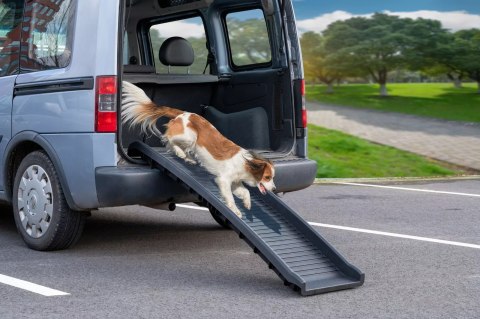Składana Rampa dla Psa do Samochodu Lekka 90kg Antypoślizgowa dla Psów